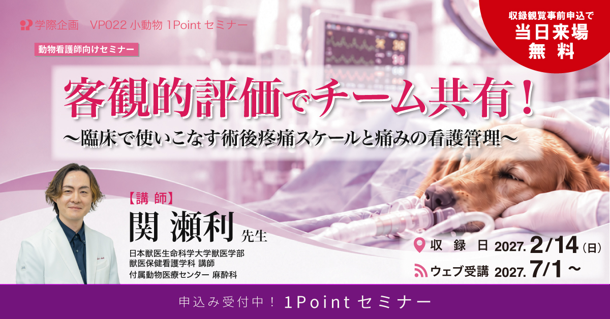 VP022　客観的評価でチーム共有！〜臨床で使いこなす術後疼痛スケールと痛みの看護管理〜