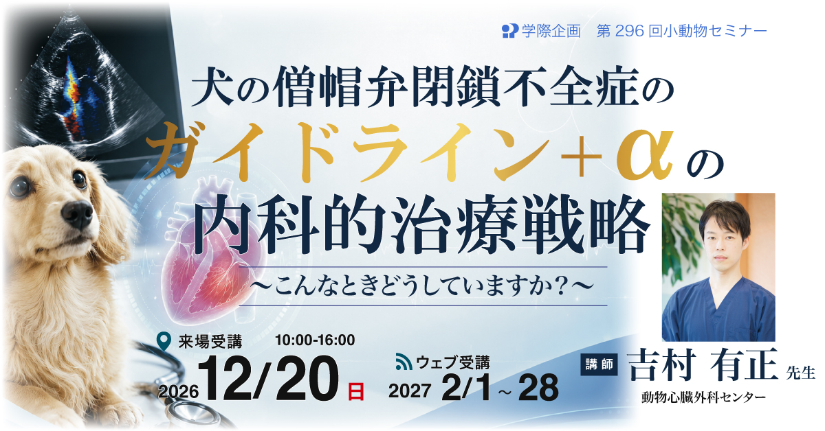 No.296 犬の僧帽弁閉鎖不全症のガイドライン+αの内科的治療戦略