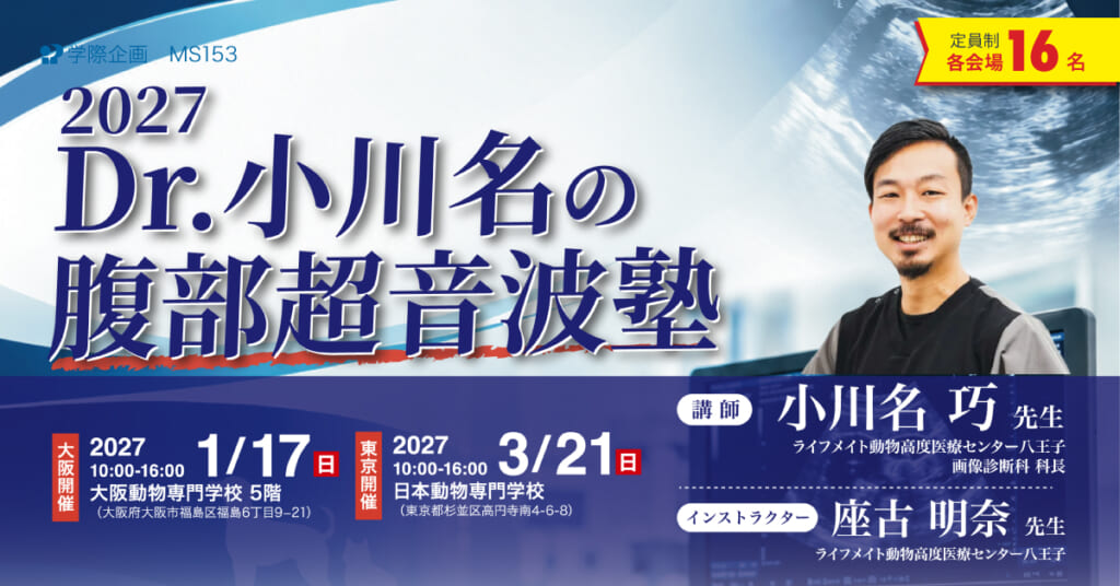 2027dr.小川名の腹部超音波塾